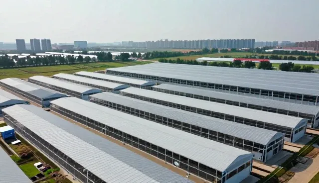 提升分销效率:办公用品电商的未来路径